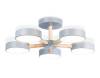 Потолочный светильник Ambrella light Comfort FL4826