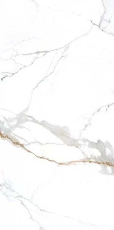 Керамогранит NT Ceramic Atlas Wide NTT3001P Carrara Gold 120x240