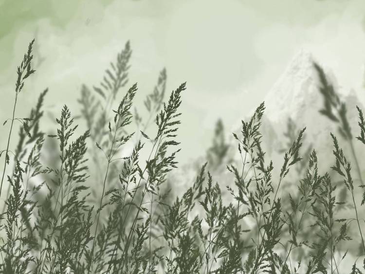 Бесшовные Eco обои Ortograf Vento 34992 Июльский день Ворс+ ОЕ+