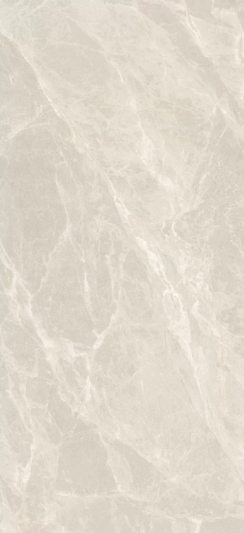 Керамогранит Zodiac Ceramica Van Gogh MN262AY271206 Grey Matt 6mm 120x270
