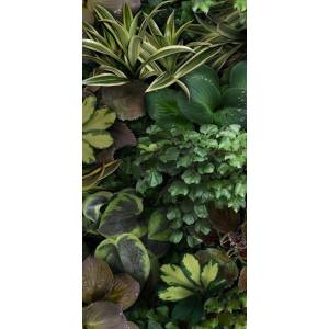 Декор 41ZERO42 Paper41 Pro 4100153 Jane C 50x100