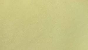 Обои Elysium Мох Е301608