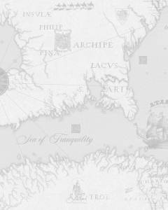 Обои Solo Geo SL8838-21