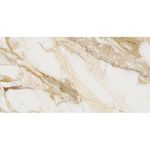 Керамогранит Ocean ceramic OC0000093 Loyal New 60x120