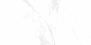 Керамогранит Belleza Glossy Bony Statuario 60x120