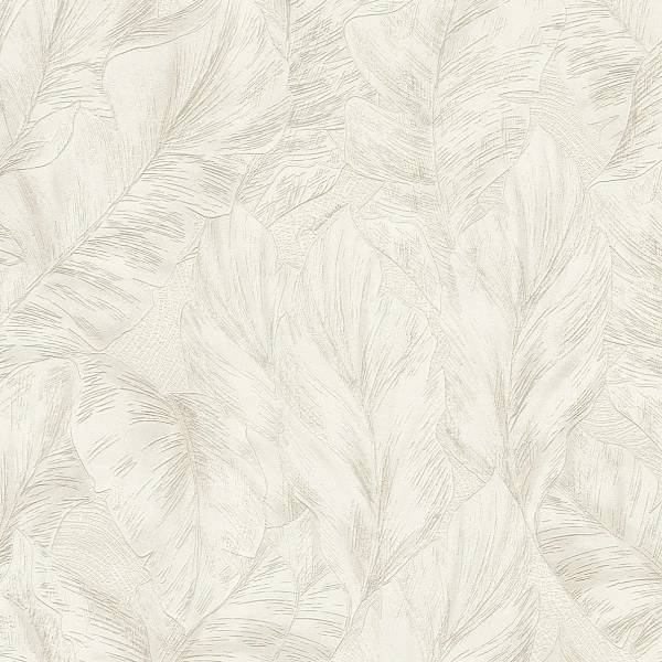 Обои Roberto Cavalli №9 21072