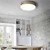 Потолочный светодиодный светильник Imperium Loft Range 195543-26 фото 14
