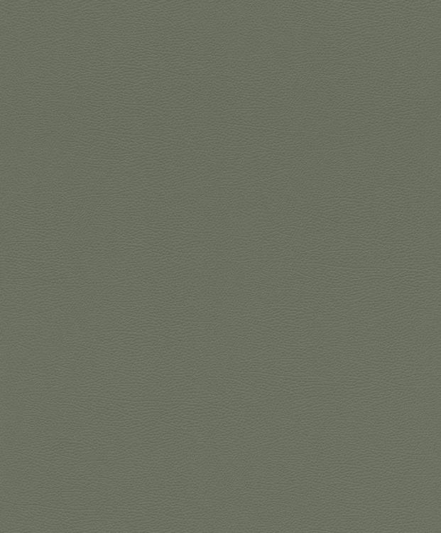 Обои флизелиновые Rasch African Queen Iii 752687