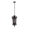 Уличный подвесной светильник Loft IT Tremezzo 100019P BS