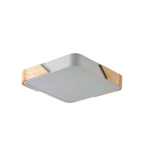 Потолочный светильник Zortes ALBERRO ZRS.01285.48