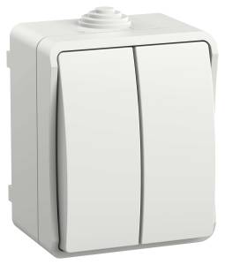 Выключатель 2-клавишный IEK Fors EVS20-K01-10-54-DC белый