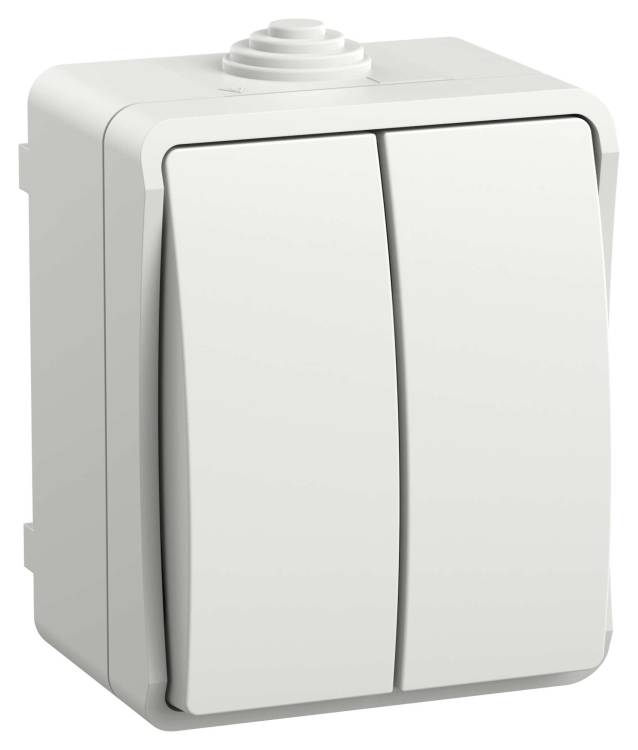 Выключатель 2-клавишный IEK Fors EVS20-K01-10-54-DC белый