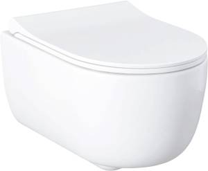 Подвесной унитаз Allen Brau Priority 4.31001.20 белый глянец с сиденьем