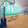Линолеум Tarkett Omnisports Reference (Омниспортс Референс) Oak Classic (Дуб Классический) (рулон: 2x20.5=41 м2) фото 2