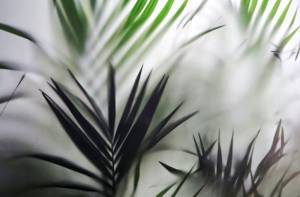 3D Фотообои Artegrafico «Листья папоротника за стеклом» TG-010 песок