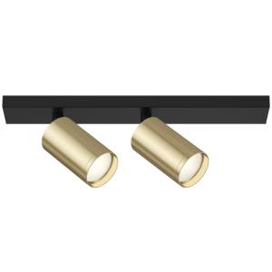 Потолочный светильник Technical Ceiling C051CL-02BG