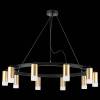 Подвесная люстра Lightstar Rullo LR0204001 фото 3
