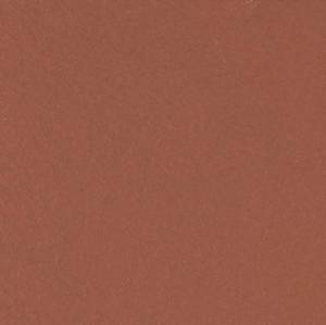 Клинкерная плитка Canada Gres Natura 018 Red R11 24.4x24.4x14