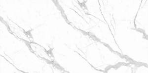 Керамогранит Dogma Project Venato DPA601236SN Antibacterial Silk Natural Rettificato 60x120 Керамогранит Dogma Project Venato DPA601236SN Antibacterial Silk Natural Rettificato 60x120