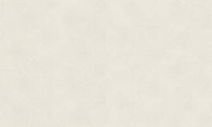 Обои Rasch Trend 975208