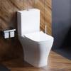 Унитаз-компакт Damixa Titan DX78C8600SC безободковый, с микролифтом фото 2