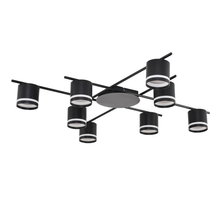 Потолочный светильник Lumion Berty 8362/8C