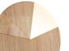 Настенный светодиодный светильник Indigo Trave 10019/A/1W Wooden V000025L фото 3