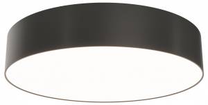 Потолочный светильник Maytoni Technical Zon C032CL-36W3K-RD-B