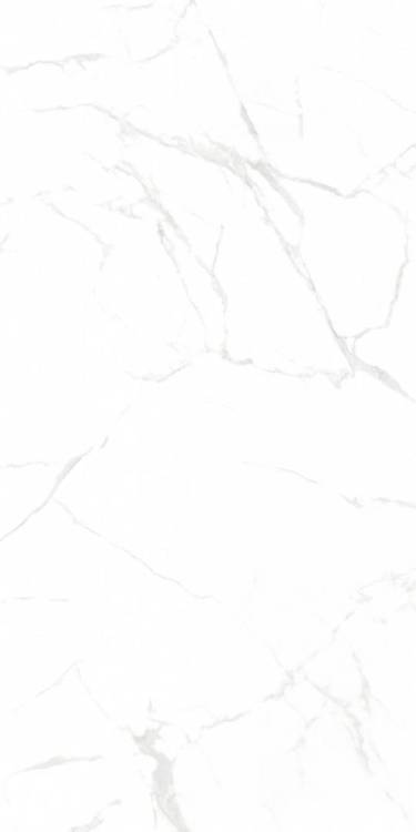 Керамогранит NT Ceramic Marmo NTT99607M Callacata carving 60x120