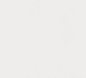 Обои флизелиновые A.S. Creation Black I White 21179-8