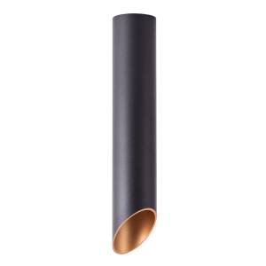 Светильник потолочный Arte Lamp Pilon A1536PL-1BK