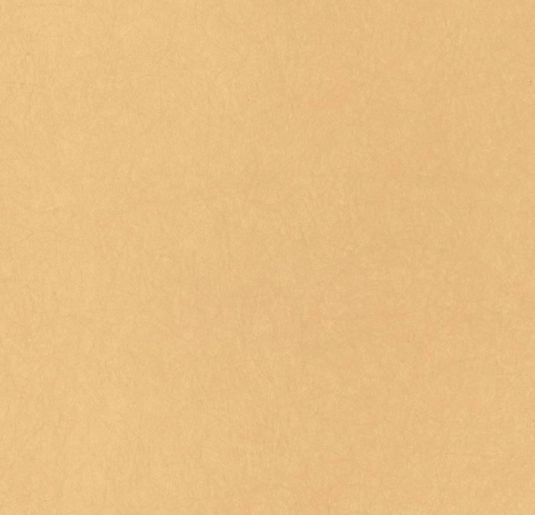 Обои флизелиновые Bernardo Bartalucci Legend 5068-61