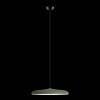 Подвесной светодиодный светильник Loft IT Plato 10119 Green фото 5