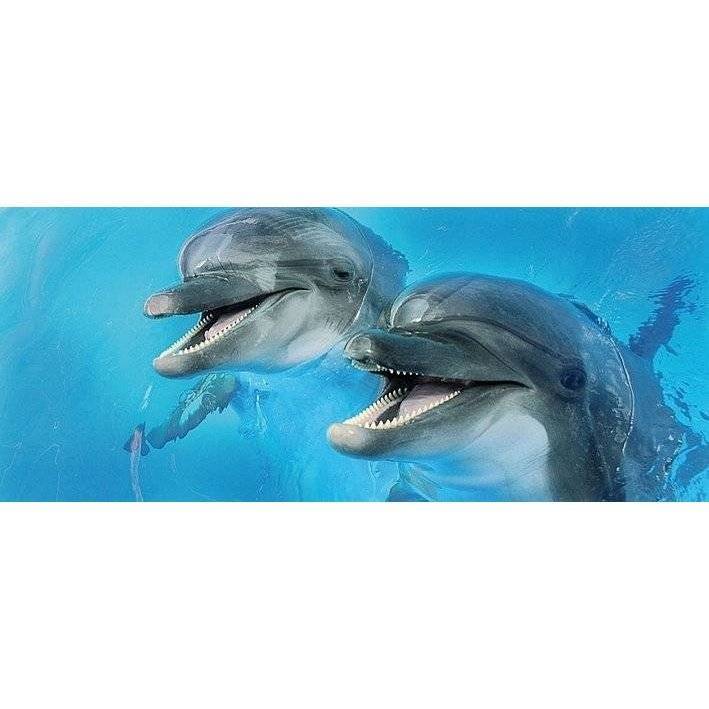 Декор Cerrol Porto Dolphins 2 Centro 25x60