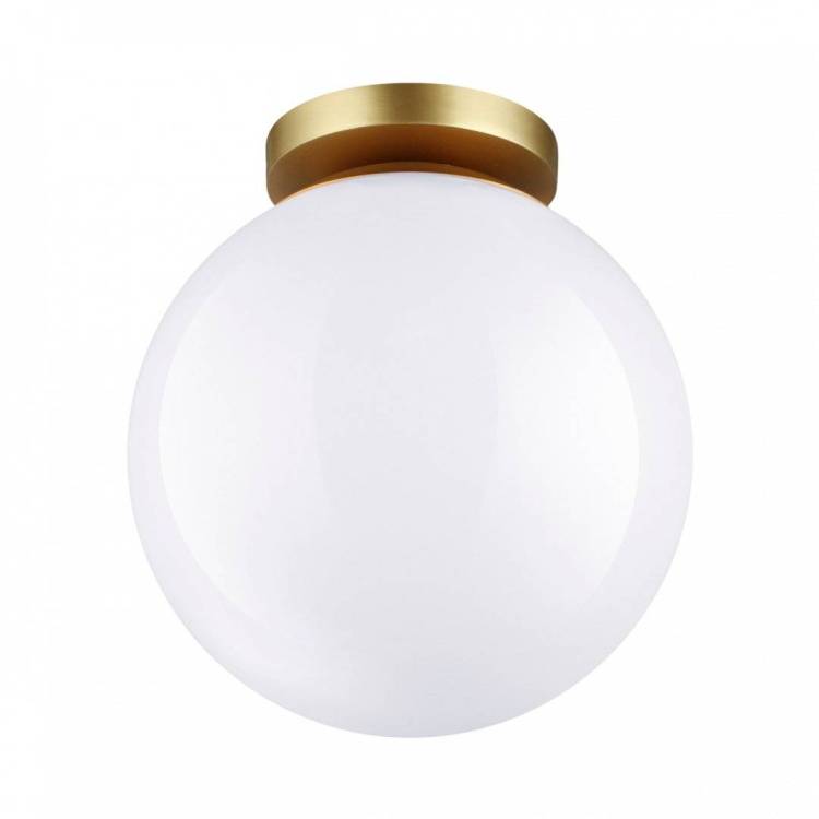 Настенно-потолочный светильник Odeon Light Hightech Bosco 4248/1C