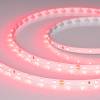 Лента светодиодная Arlight Rt A60 55374