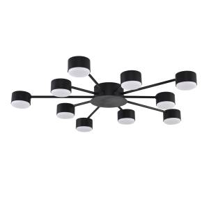 Потолочная люстра Lumion Torina 8344/10C