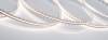 Лента светодиодная Arlight Microled 5000 27026 фото 4