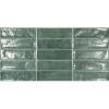 Керамическая плитка Ecoceramic Pool Green 31.6x60