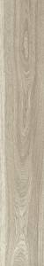 Керамогранит Arcadia Ceramica Mordic Wood CW-RT15-B Ash RT 20x120