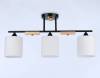 Подвесной светильник Ambrella light Traditional TR9551 фото 3