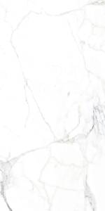 Керамогранит Arcadia Ceramica Luce Statuario FP1002-A Full Polished 60x120