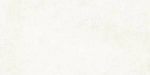 Керамогранит Art&Natura Ceramic Moderno Stucco 151.111.1171 White Matt 60x120