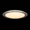 Потолочный светодиодный светильник Freya Glory FR6441-CL-30-W фото 4