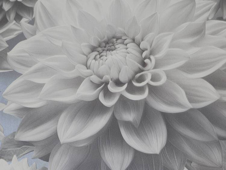 Обои Elysium Лулу 909702