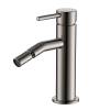 Смеситель для биде AQUAme Siena AQM6216GM металл
