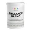 Краска для потолков и лепнины Vincent Brillance Blanc ослепительно белая глубокоматовая 0.9 л