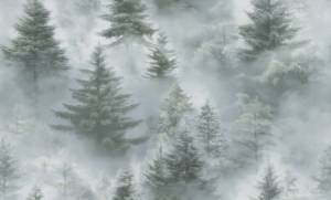 Обои Palitra Home Ultrachrome 3 HC72551-71