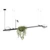 Подвесной светильник LOFT IT Jardin 10121/C фото 2