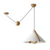 Светильник Freya Modern FR5554CL-01T фото 5